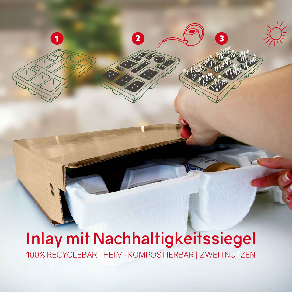 Zero Waste Adventskalender 2025