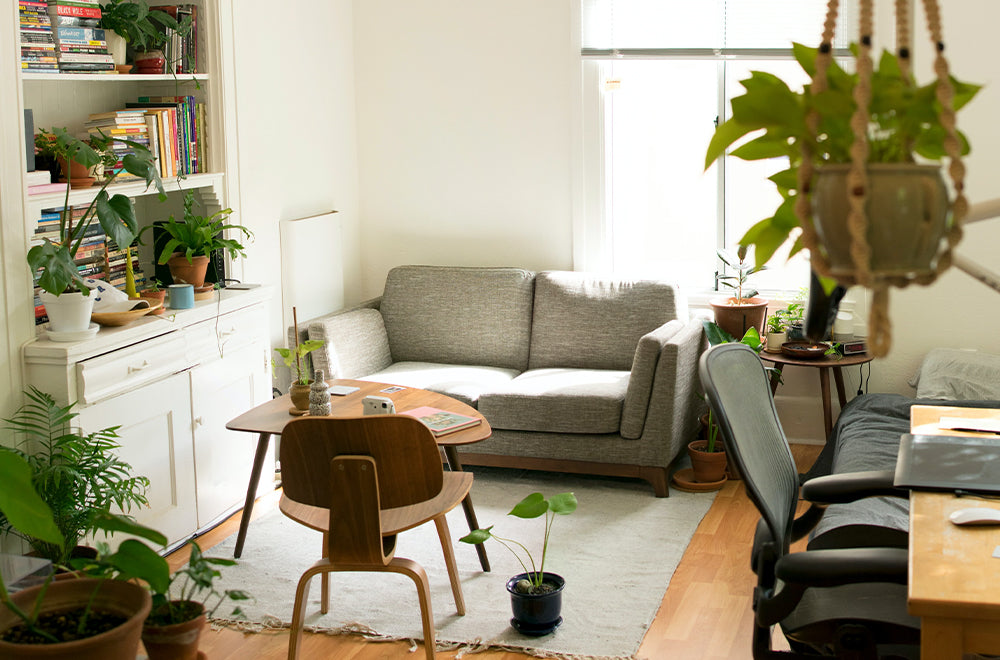 September Challenge: Öko-Möbel - wie kannst du deine Wohnung nachhaltig einrichten?