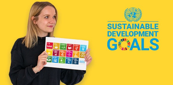 Die 17 globalen Nachhaltigkeitsziele (SDGs)