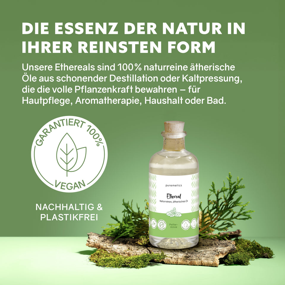 Ethereal 'Peppermint'