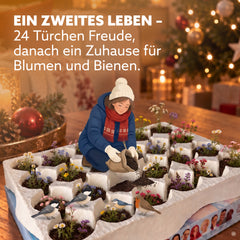 Adventskalender 2026