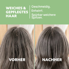 Feuchtigkeits Conditioner-Cream ‘Aloe Vera‘