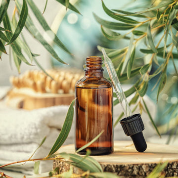 EUCALYPTUS GLOBULUS LEAF OIL = Ätherisches Eukalyptusöl