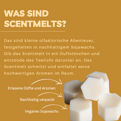Cire parfumée d'ambiance Scentmelts « Singles »