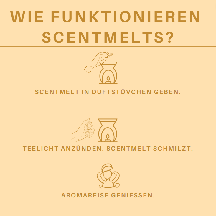 Cire parfumée d'ambiance Scentmelts « Singles »