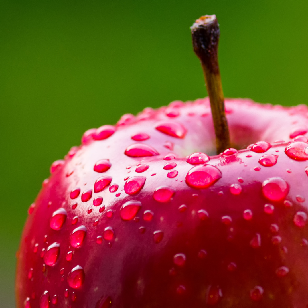 Scentmelts Raumduft-Wachs 'Singles'