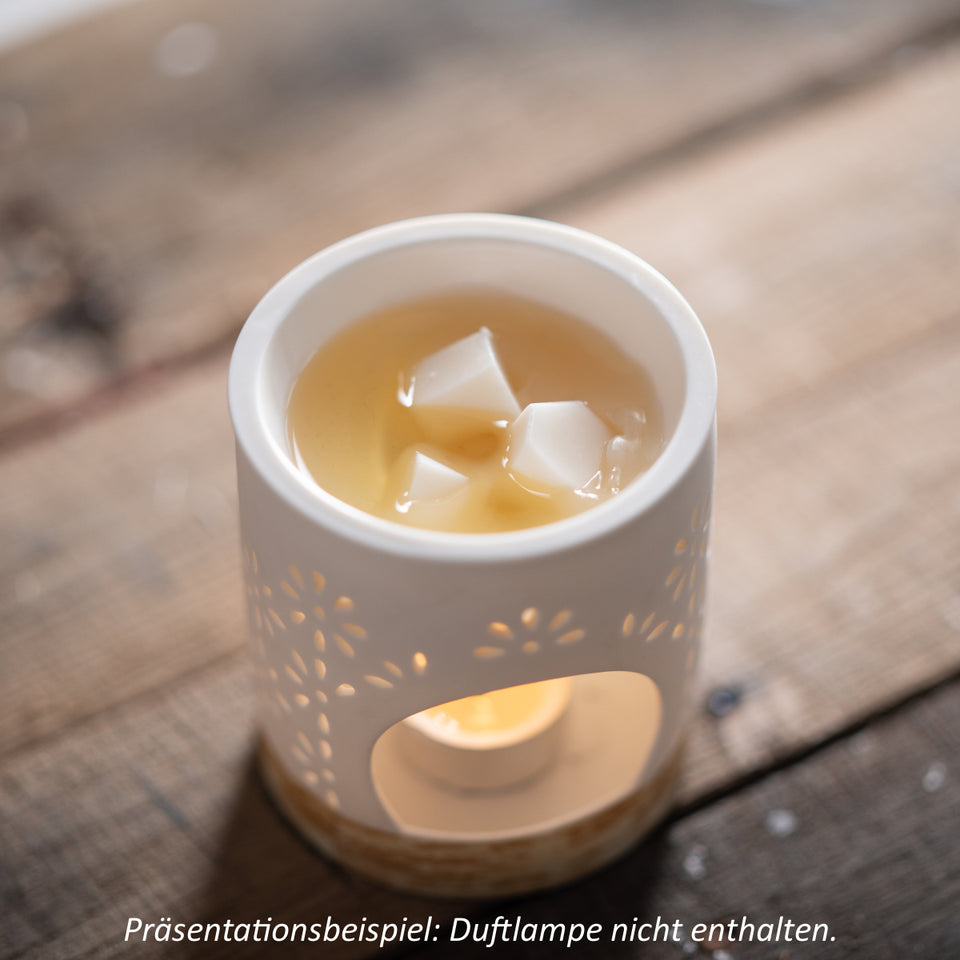 Cire parfumée d'ambiance Scentmelts « Singles »